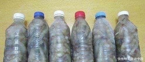 方法|保存大虾,直接丢冰箱就错了大厨教你方法,冻几个月还像刚买的