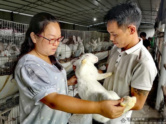  玉兔|蒋民芳：赶着玉兔“奔富路”