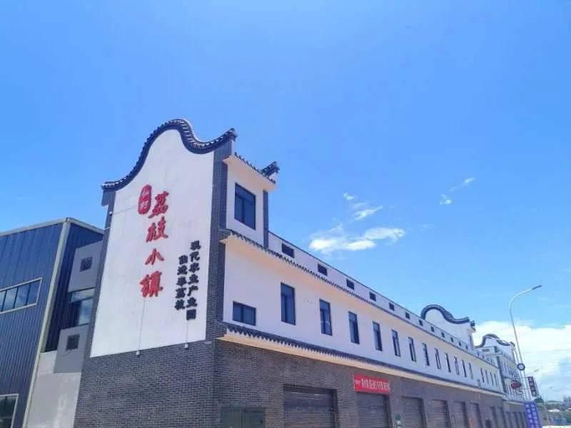  乘风破浪|仙进奉“乘风破浪”，今年仙村镇总产值超5亿！