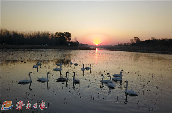 黄河|跟着记者走黄河丨第三站槐荫：大河抒“槐” 福“荫”泉城