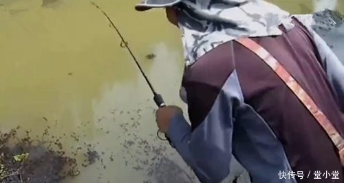 鱼竿|鱼竿拉不动,拿树干在水里搅拌,结局喜人,好在没心急的剪断鱼线