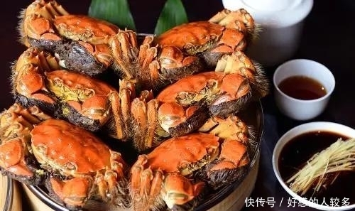 大闸蟹|为什么说阳澄湖的蟹，是中国的顶级食材