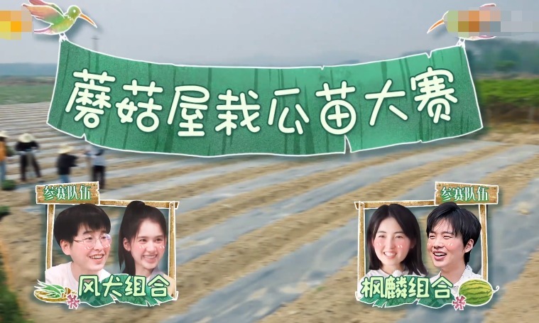 向往|《向往的生活》实现成语接龙永动环,郭麒麟太有梗了