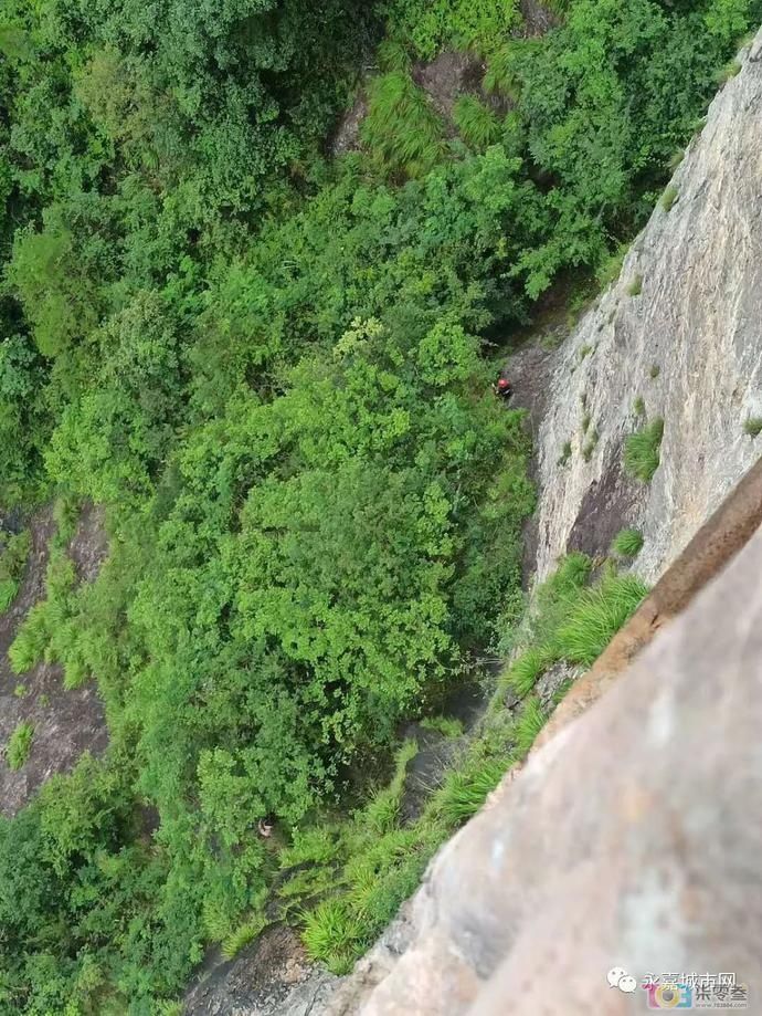  未归|女游客进温州景区未归，悬崖下找到尸体