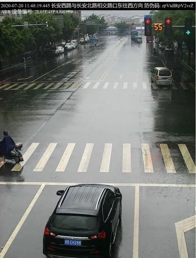 车牌号为桂|【曝光台】来看看这些违章车辆，坚决曝光