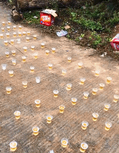 确认|搞笑GIF:确认过眼神,是想啄的人