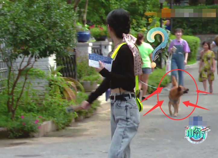  颖见到狗|赵丽颖被狗吓到直跑，狗主人跟她道歉，从她的回应方式看出人品