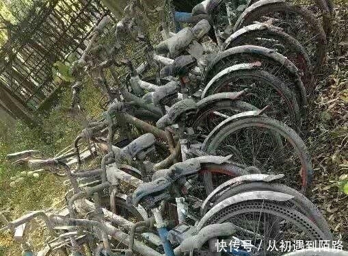 抽干|公园改造工程,把湖中的水都抽干后,眼前的一幕让大家都沉默了