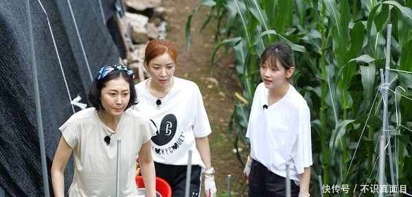 PD|《天空之城》廉晶雅被拐来录影,全都不会做菜,罗PD回答超无言