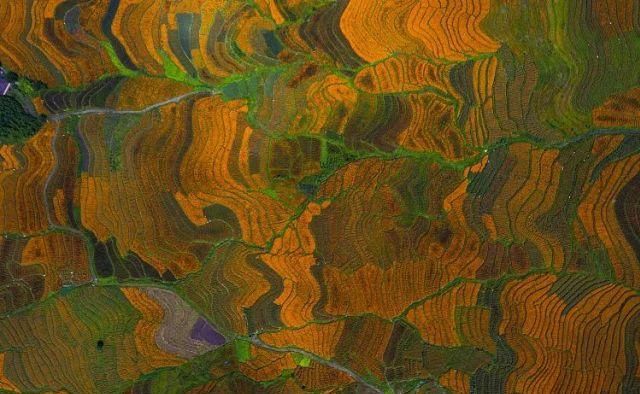 生长|云之南，一个生生不息、万物生长的地方