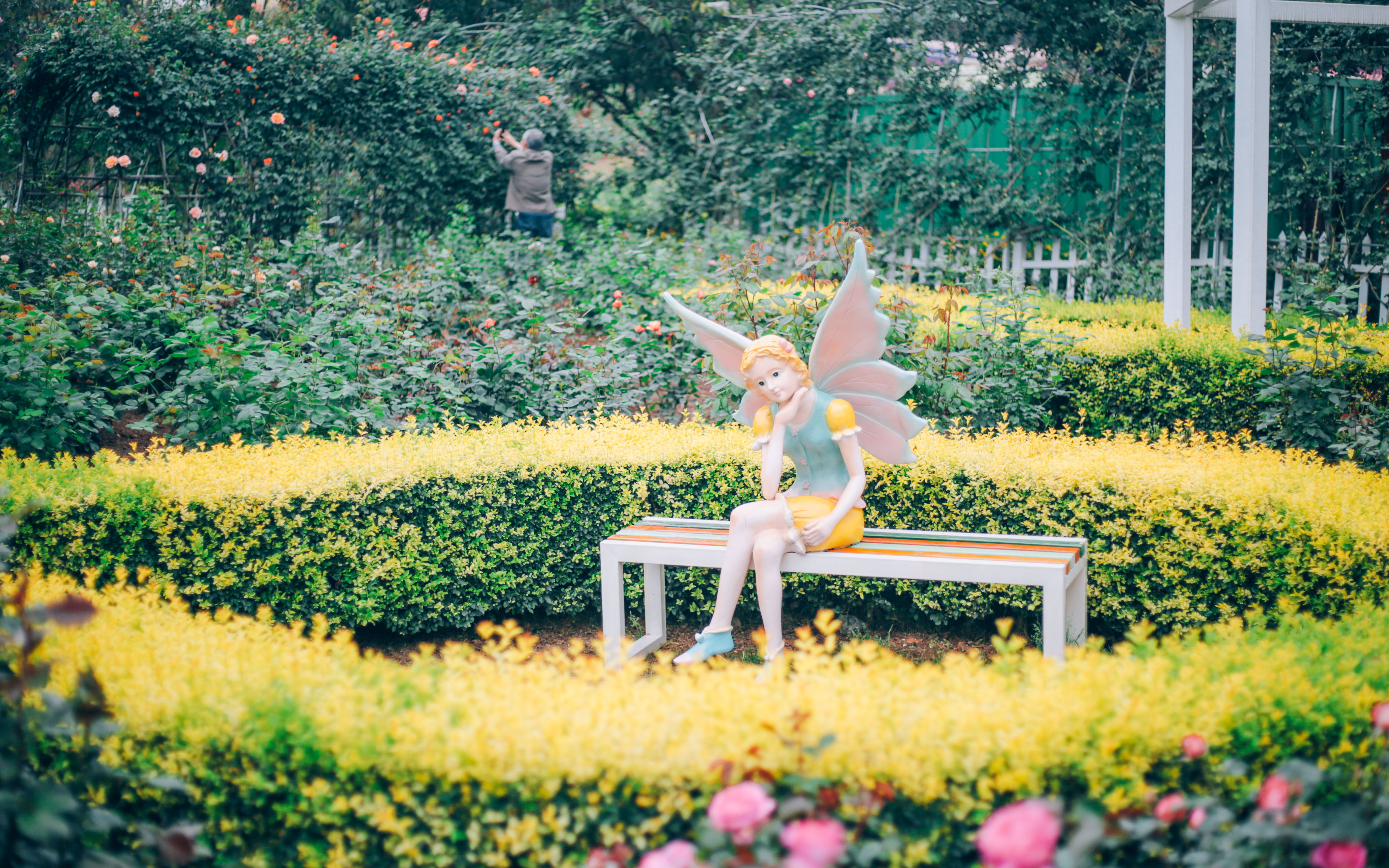 记录一下|成都,撑肚!成都的旅途中,少不了美食的“浓墨重彩”