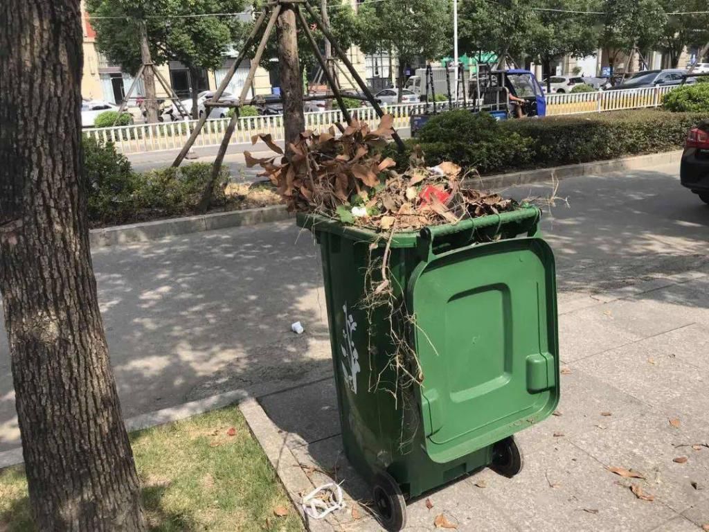 车停放不规范|快看!长乐不文明现象再曝光！