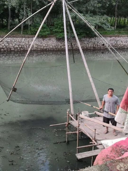 渔业|@南通人 有奖举报,最高奖2万!