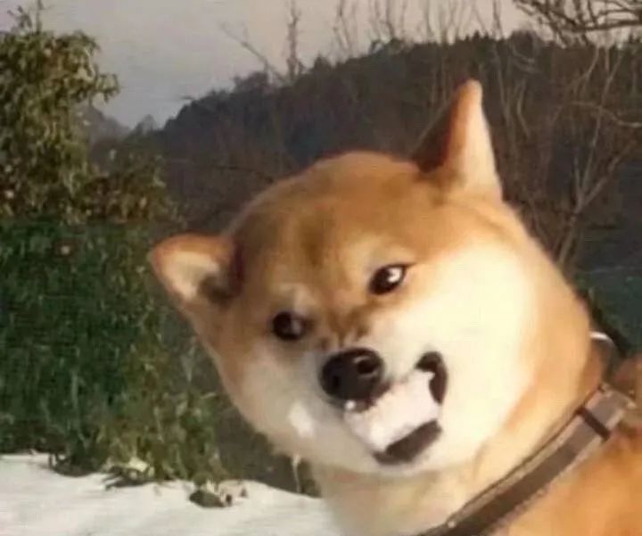 小吃|小布丁、盐水棒冰……这些青浦人从小吃到大的冷饮,你吃过几种?