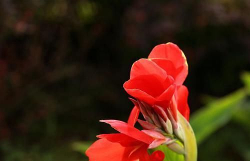  财运|2020年下半年几大星座财运好，咸鱼翻身，赚得钵满盆满什么都不愁