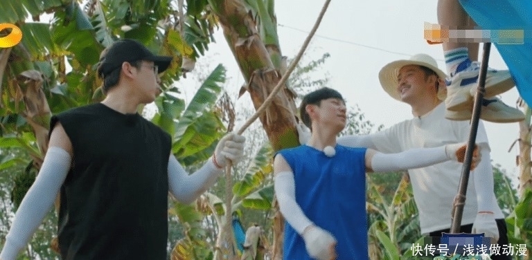 椰子树|以为黄磊说有备救护车是开玩笑,当镜头切换到远景,节目组用心了