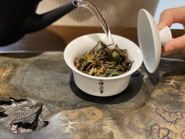 老白茶|秋季喝茶怎么选，春茶？秋茶？或是老白茶？别纠结，老茶农告诉你