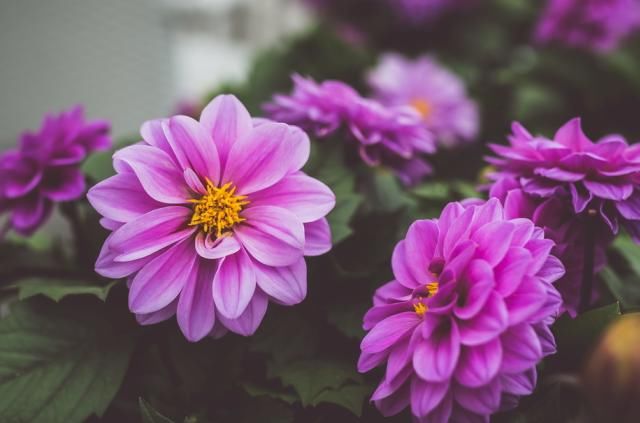  排行榜|十二星座男颜控排行榜，天秤座：颜值能当饭吃