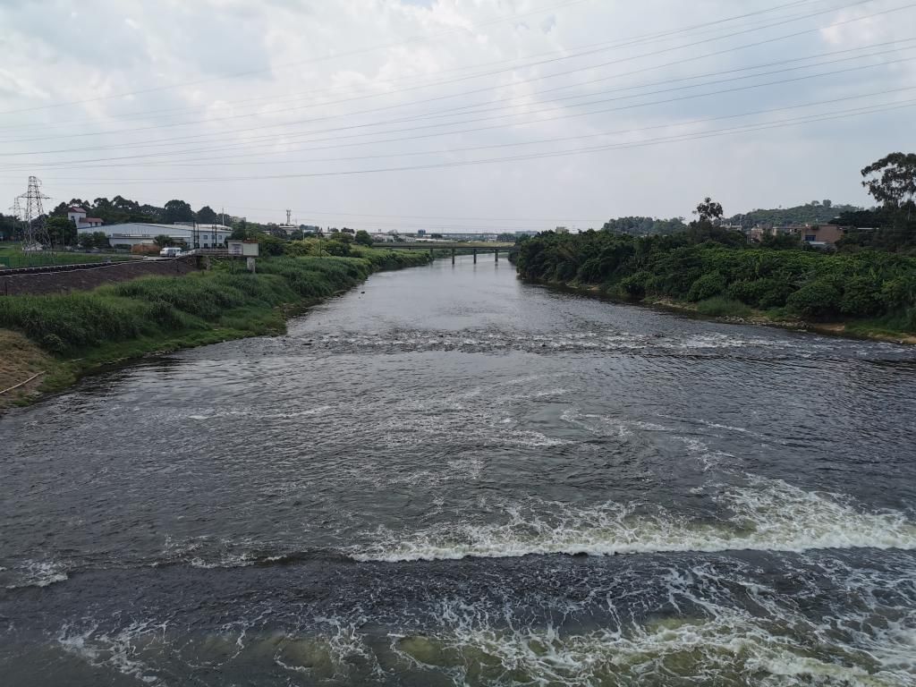  蝶变|深调研|从供水河到污水河再到清水河，东莞石马河何以蝶变？