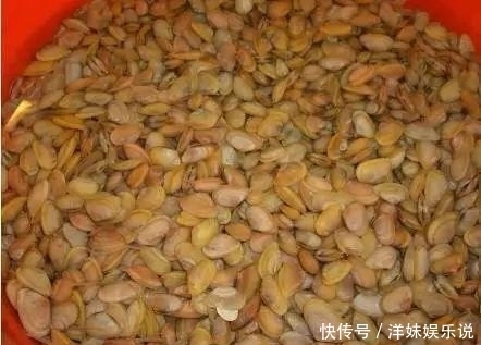 海鲜|海鲜大全, 你能认出多少