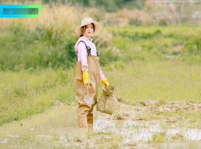  推掉|《中餐厅》被虞书欣方推掉后，将迎来人气“小花”，还成常驻嘉宾