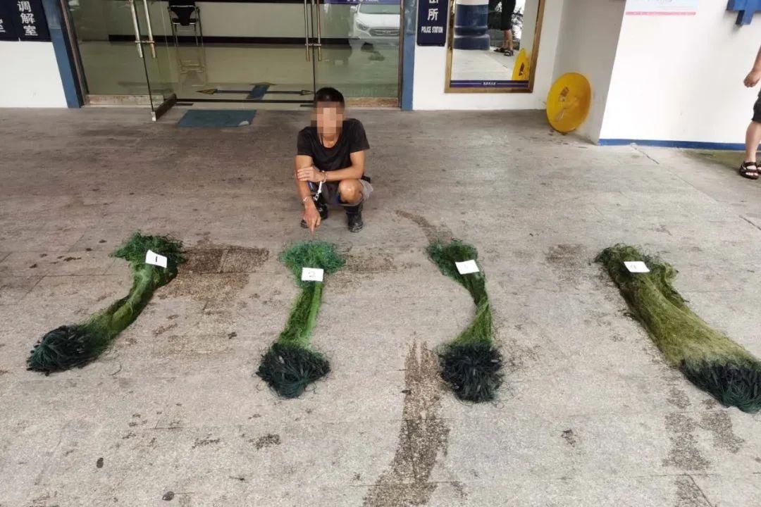 男子|非法捕捞“零容忍”永定又一男子被抓