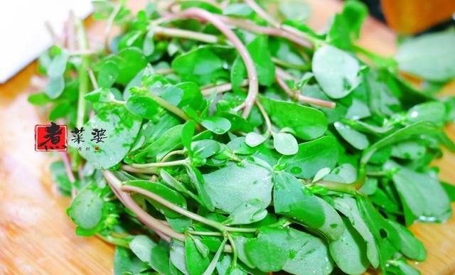  1勺|夏天就馋这个菜，焯一焯拌一拌，不加1滴醋，酸甜又开胃，特下饭