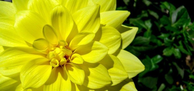  连连|8月份开始金钱运极旺，财运亨通好运连连，赚得满满当当的4大生肖