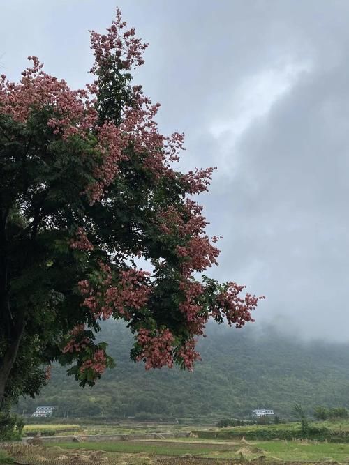 不生|“丁克家庭数量达60万”：那些不生孩子的家庭后来怎么样了？