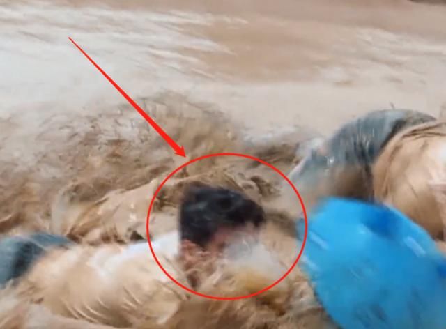  与众不同|蔡徐坤偶像包袱太重？兄弟团下泥潭成大花脸，他的造型却与众不同