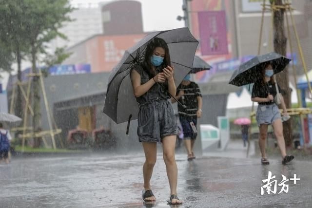 深圳市|图集丨深圳暴雨雷电双预警，开启“疯狂倒水”模式