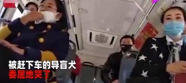 公交|“交警扮盲人带导盲犬乘车被拒”：曝光的不止无知，还有冷漠自私