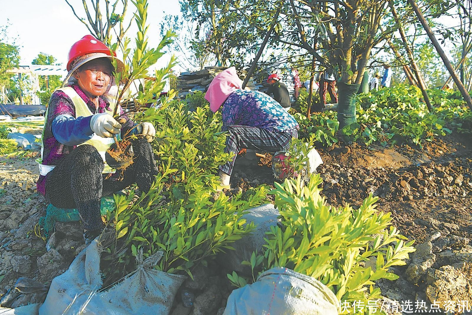 骆岗公园 惊艳蝶变