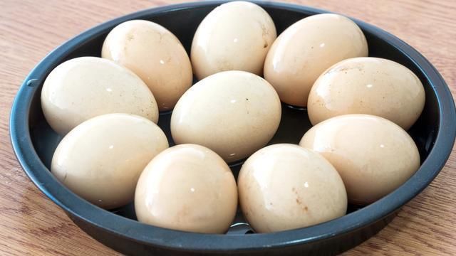  保存|养鸡大户透露，保存鸡蛋有秘诀，绝对不是放冰箱，放半年都不易坏！