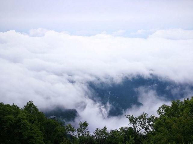  去一趟|避暑王者峨眉山，是时候去一趟了！