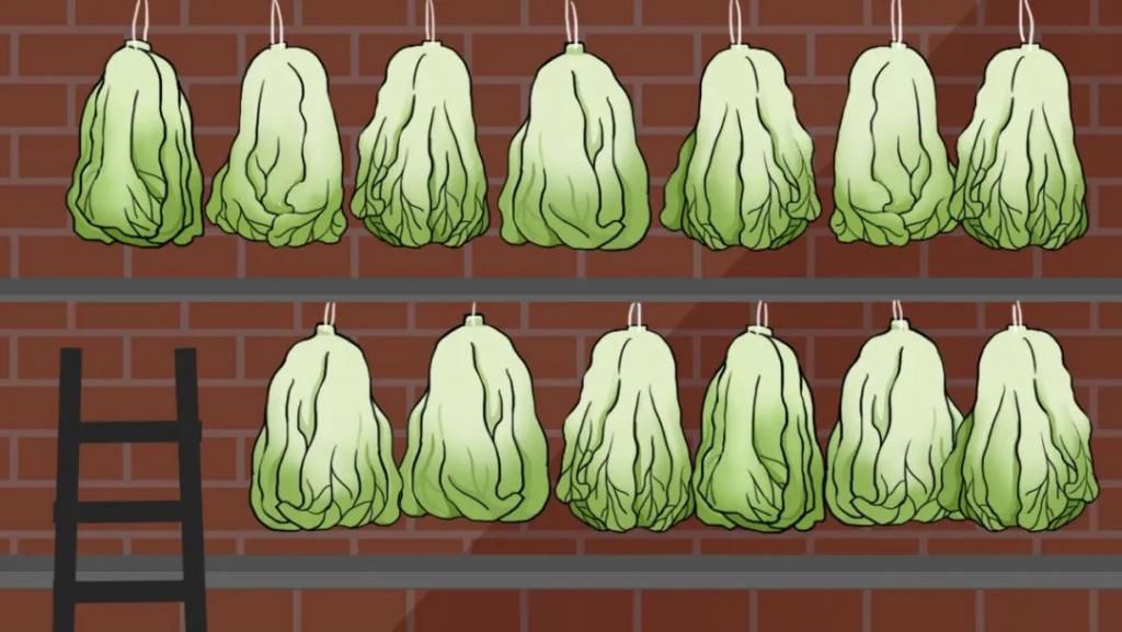  致敬|节日快乐！致敬最可爱的人！