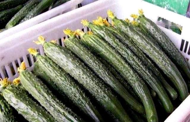  爽口|天太热，凉拌黄瓜别“单调”，搭配这2种食材，清脆爽口还下饭