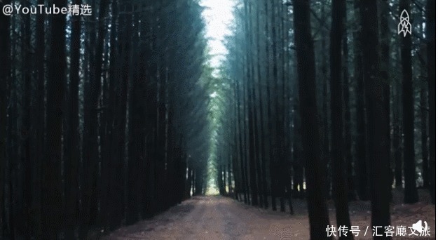  改成|69岁老人逃离城市，将报废飞机爆改成三室一厅山景房！