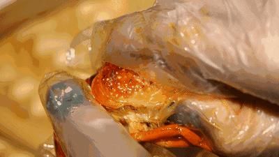  菠萝|《2020最新小龙虾地图》.zip