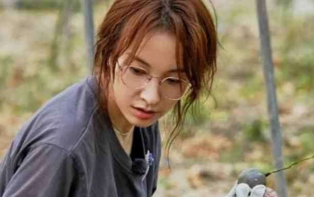  元气|官宣《元气满满的哥哥》，杨洋时隔5年后的综艺，没想到还有浪姐