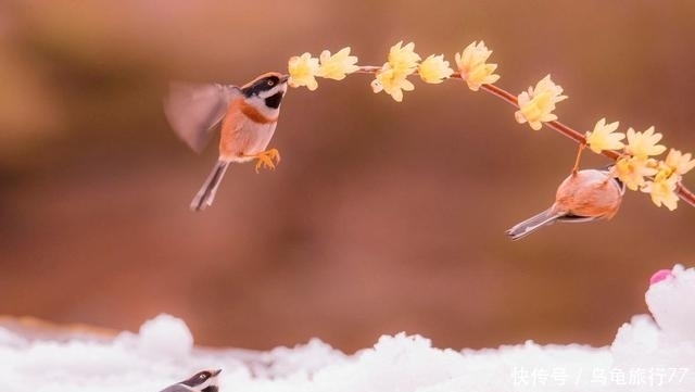 身边|有一种深爱,不在身边,却在心间