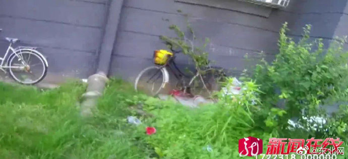 牡丹江|再好看也是“毒物”！牡丹江一小区有人种了这种花