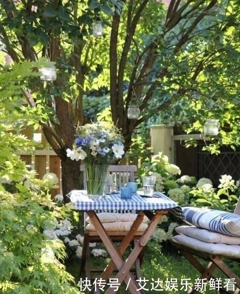 暮年|你我暮年,有个小院,足矣!