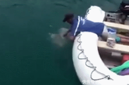 水中|水中扔面包片引来大鱼,手拿一片面包水中摇晃,空手抓到奇怪大鱼