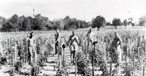 战俘营|甚至德克萨斯州的纳粹战俘，也对南方黑人受到的待遇，感到吃惊