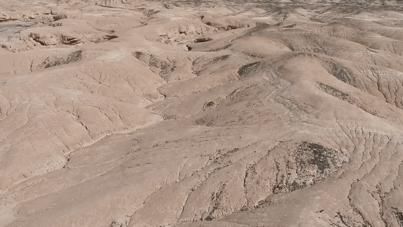  实践|【国庆线下实践5】重走丝绸之路,西藏边疆经济发展调研