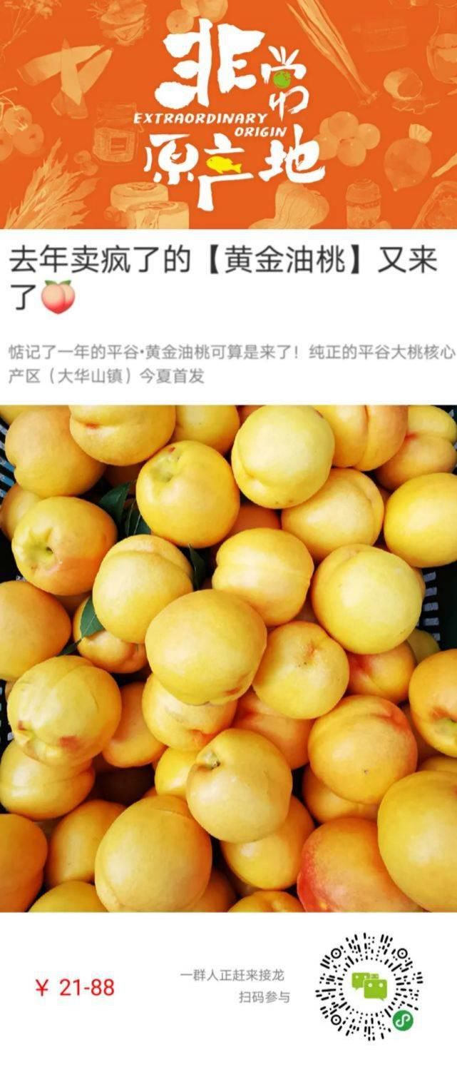  咖啡店|同样是云南，为什么大家都往喜洲跑？