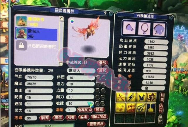 综合|梦幻西游：综合73伤的宝宝装备卖不出去，新出法系极品元身锤子！