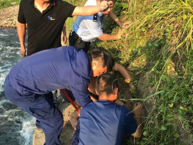  伸出|好险！岸边涵洞伸出一只小手...