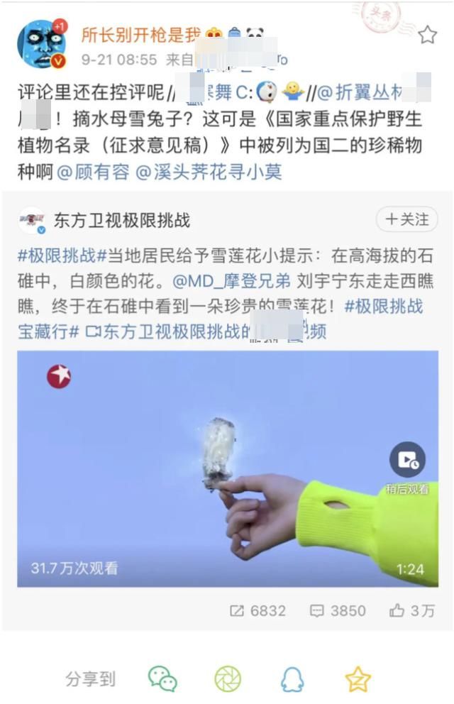  极限挑战|《最强大脑》水哥被扒私养国家二级保护植物，专家否定人工繁育